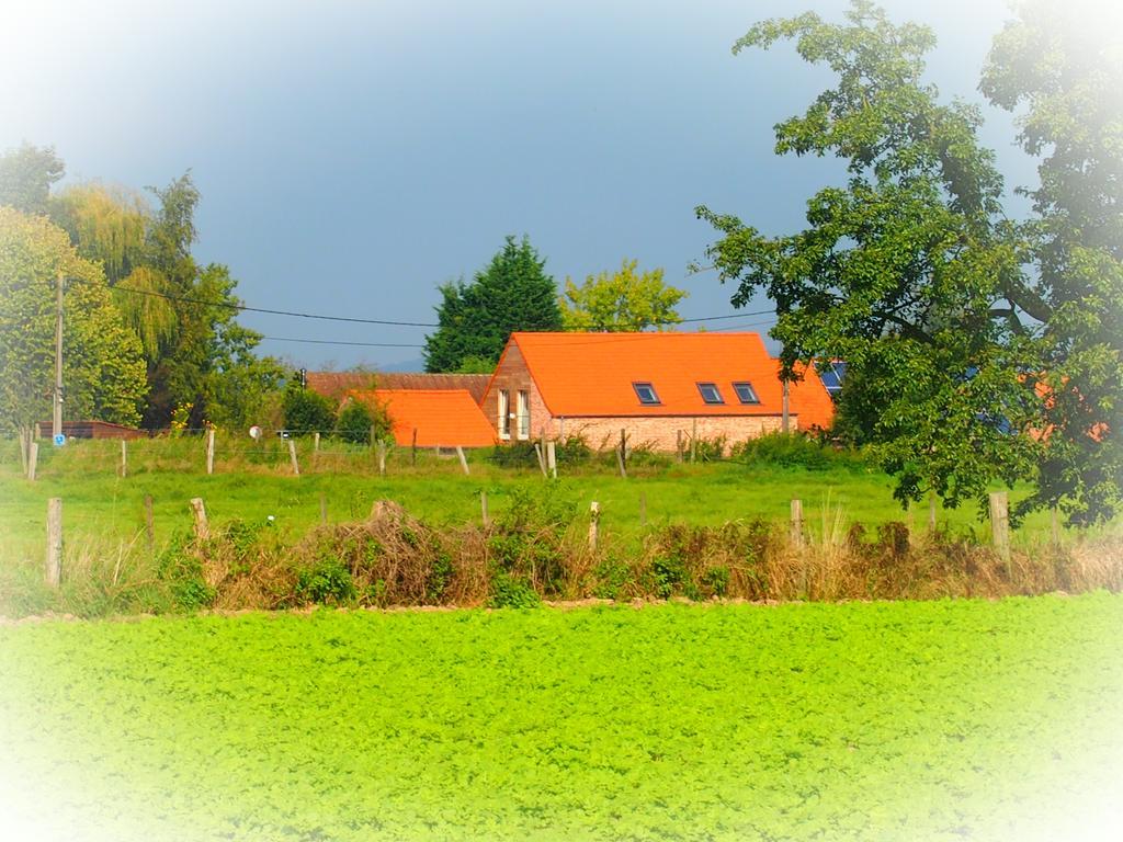 Archipel Holiday Cottage Ellezelles Bagian luar foto