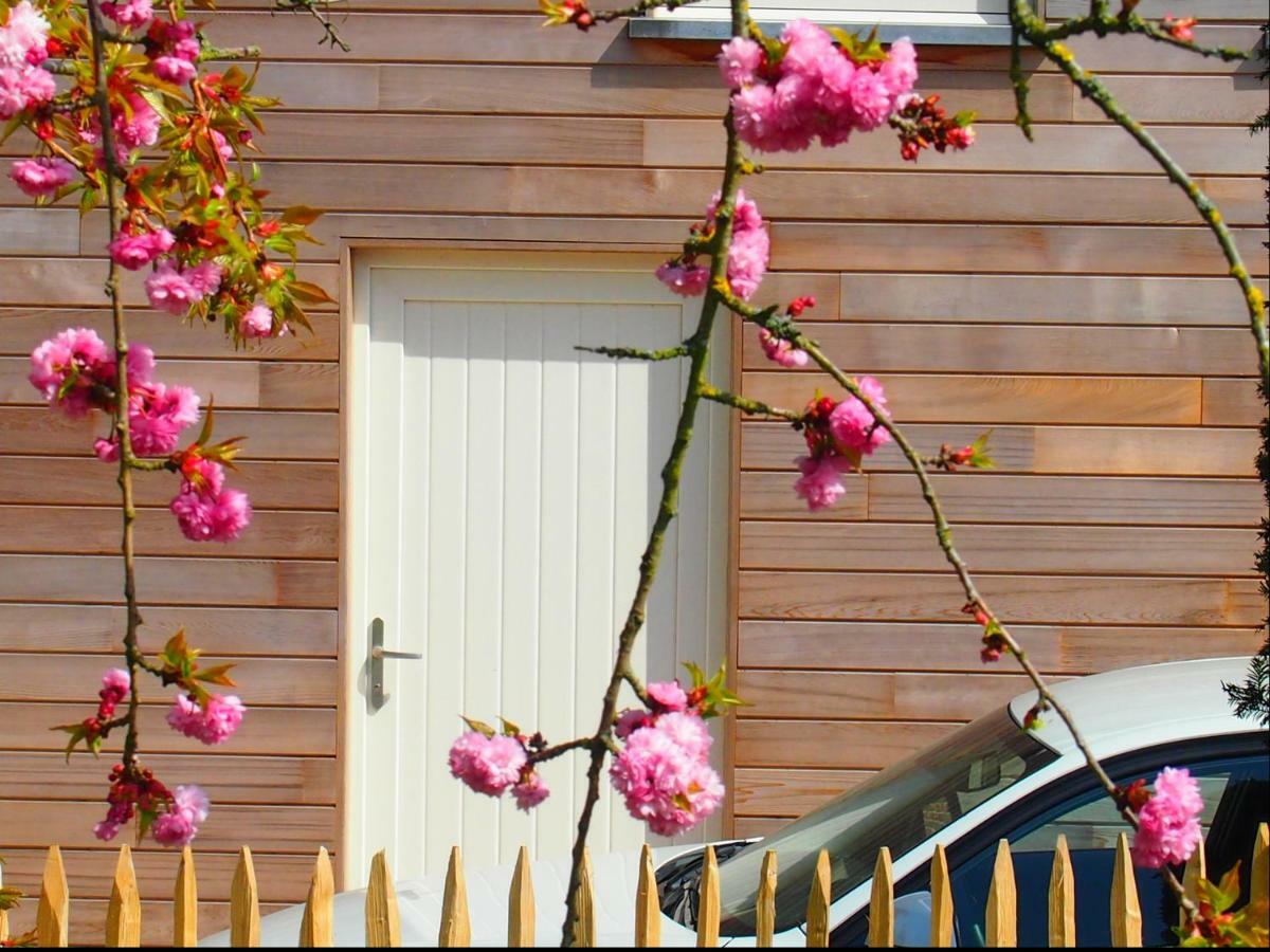 Archipel Holiday Cottage Ellezelles Bagian luar foto